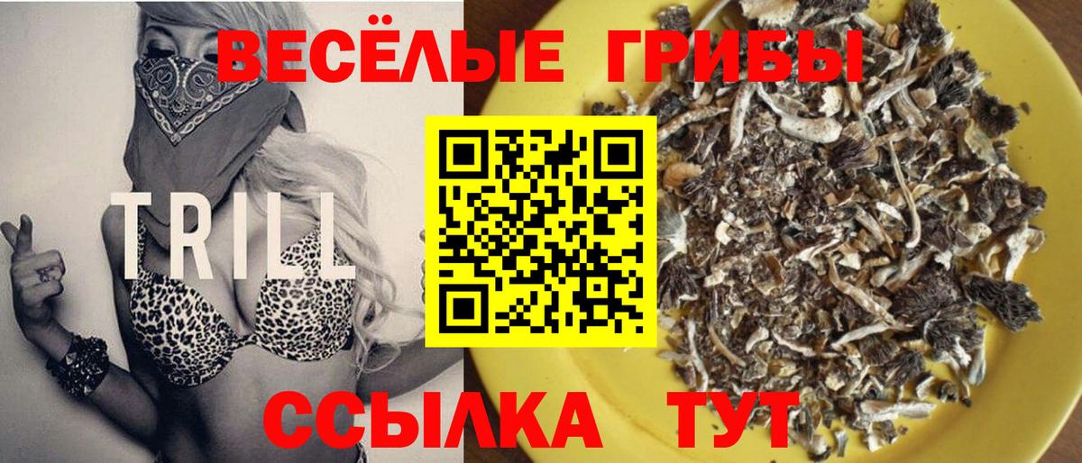 Новосибирск  Галлюциногенные грибы мицелий  Вход с VPN  Псилоцибиновые грибы MAGIC MUSHROOMS 