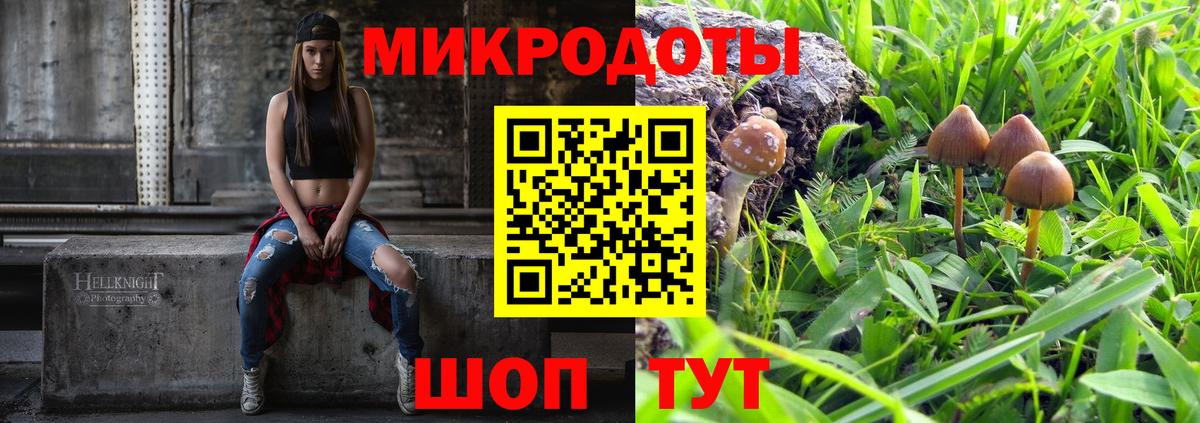 Псилоцибиновые грибы мицелий Новосибирск